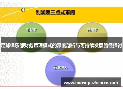 足球俱乐部财务管理模式的深度剖析与可持续发展路径探讨