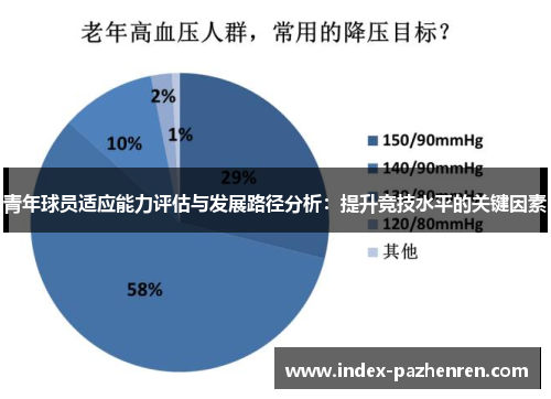 青年球员适应能力评估与发展路径分析：提升竞技水平的关键因素