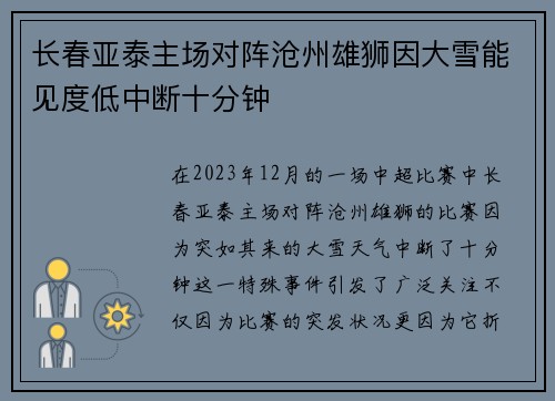 长春亚泰主场对阵沧州雄狮因大雪能见度低中断十分钟