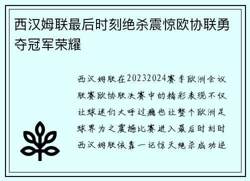 西汉姆联最后时刻绝杀震惊欧协联勇夺冠军荣耀 西汉姆联最后时刻绝杀震惊欧协联勇夺冠军荣耀